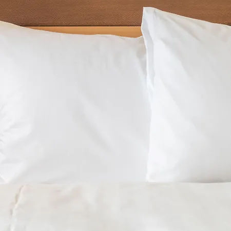 Luxotel 酒店 戛纳